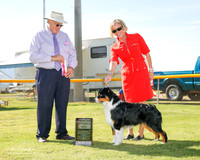Australian Shepherd #9 Fri BOS Kim Brooke and Susan Rowley Judge John Wade