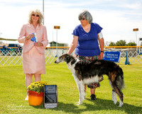Borzoi #12 Fri BOW McCabe Alicia Judge Sulie Greendale