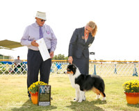 Australian Shepherd #8 fri G4 Grant Jann Judge John Wade
