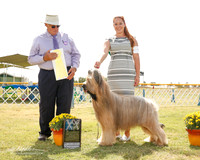 Briard #5 Fri G3 Klang Gina and KayCee Judge John Wade