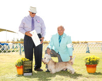 Dandie Dinmont Terrier #5 Fri G4 Myers Gary and Karen Dorn Judge John Wade