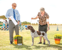 German Shorthaired Pointer #11 Fri G4 Swensson Carlene and M R Lara BVM Judge Garry Anderson