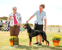 Saluki #9 Fri G2 Snyder Lois Ann Judge Anne Katona