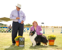 Shetland Sheepdog #23 Fri BOW NC Vale R K Kozakiewicz R Porter F Blanchere Judge John Wade