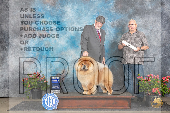 Chow Chow #5 Sat G1 Judge Karen McFarlane __JP_5551_San Antonio_2024_HR3