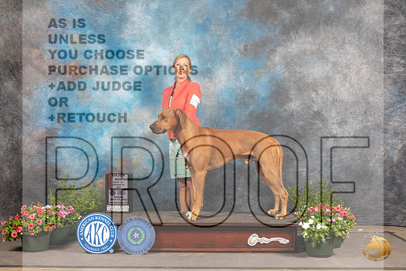 Rhodesian Ridgeback #25 SD Judge Michael Canalizo_MJ_0793_SA_2022_HR3