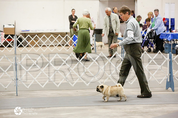 _CK_5986-AblnMay2014-web