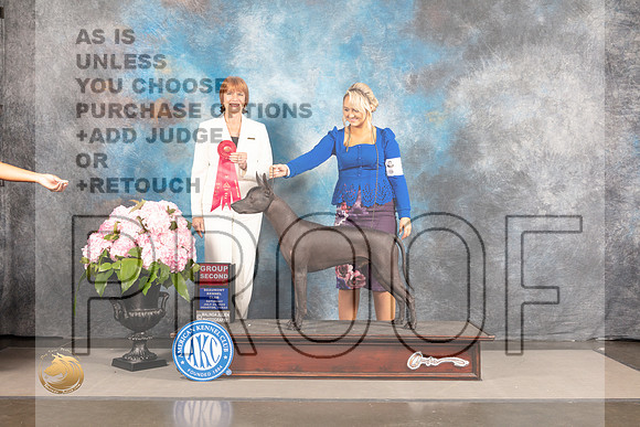 Xoloitzcuintli #9 SAT G2 Judge Linda Hurlebaus_MJ_7399_Houston_2022_HR3