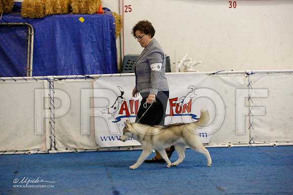 _M3_8665-AddisonHuskyMar2015-HR3