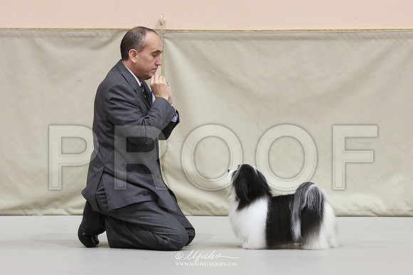 Hav-6536-HR