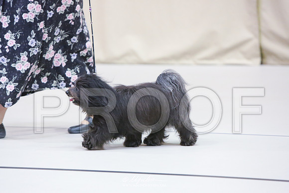 Hav-5274-HR