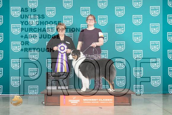 Australian Shepherd #126 Fri2 ABISTD Judge Mary Ellen Meyer_MJ_3339_ColumbiaMo2023_HR3