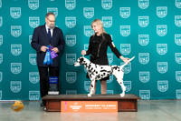 Dalmatian #203 Fri1 G1 Judge Rolland Pelland