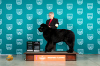 Newfoundland #158 Fri2 G3Ch Judge Larry Hansen Jr