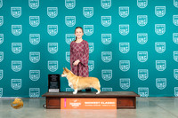 Pembroke Welsh Corgi #327 Fri RN1st Judge Kim Alexander-Thomson
