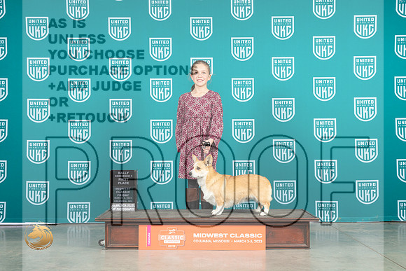 Pembroke Welsh Corgi #327 Fri RN1st Judge Kim Alexander-Thomson_MJ_3322_ColumbiaMo2023_HR3
