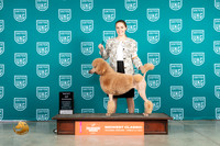 Poodle Std #419 Fri BOW Judge Rolland Pelland