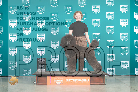 Poodle Std MC #246 Fri BOWCh Judge Rollan Pelland_MJ_3293_ColumbiaMo2023_HR3