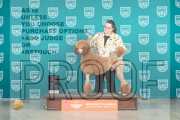 Poodle Std MX #187 Fri 1JrMale Judge Rolland Pelland_MJ_3301_ColumbiaMo2023_HR3
