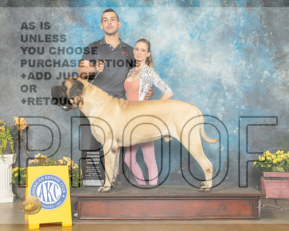 Mastiff #7 Sun Luper-MMJ_1293-NWARK2022-HR3