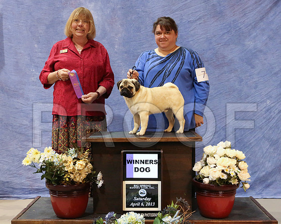 Pug-3736-HR
