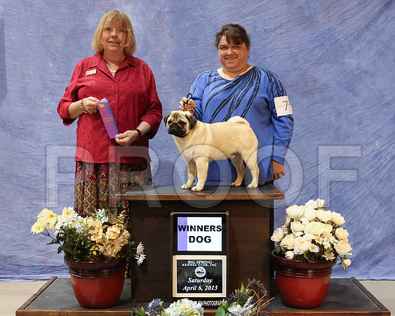 Pug-3741-HR