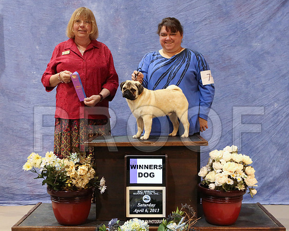 Pug-3747-HR