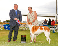 Borzoi #10 Sat BOS Ewing Barbara Judge Ken Murray