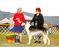 Borzoi #9 Fri Maj BOS NC Enz Carol Judge Sulie Greendale Pavaza