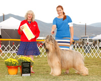 Briard #5 Sat G3 Sullivan Barbara J and D Loucks Judge Sulie Greendale Paveza