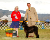 Briard #5 sat BOB Kland Gina and KayCee Judge Sulie Greendale Pavaza