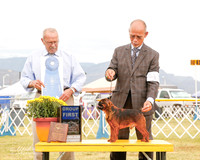 Brussels Griffon #11 Sat G1 Pat Brown Agent Alvin N Lee Judge Frank Sabella