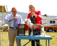 Chinese Crested #14 Sat Maj WB Conan Nina Judge Frank Sabella