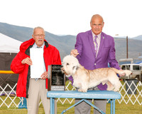 Dandie Danmont #5 Sat G4 Myers Gary and Karen Dorn Judge Frank Sabella