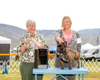French Bulldog #11 Sat BOB Jacky Mills Judge Anne Katona