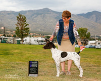 German Shorthaired Pointer #12 Sat NC Boyd Toni and Michelle Burns