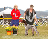 German Shorthaired Pointer #8 Sat Maj WB McNall Phyllis and Jessica Kalupa Agent Mari Lynn Davisson Judge Sulie Greendale Paveza