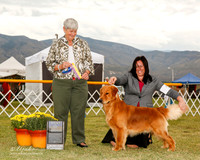 Golden Retriever #5 Sat BOB Dennis Diana and Deborah D Wheat Judge Anne Katona