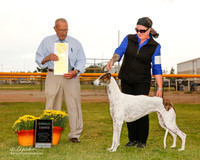 Greyhound #10 Sat Billups Nancy and Kentt and Kara Knox