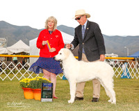 Kuvaszok #5 Fri BOB Crawford Jeri Judge Sulie Greendale Pavaza