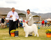 Samoyed #9 Sat G4 Morse Cathryn Judge John Wade