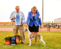 Whippet #28 Sat G1 Wilson Lori and Kellie Padon Lawrence and R Paust Judge Frank Sabella