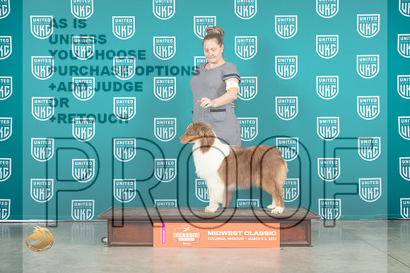 Australian Shepherd #116 Sat_MJ_3385_ColumbiaMo2023_HR3