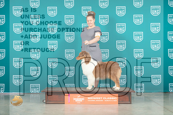 Australian Shepherd #116 Sat_MJ_3386_ColumbiaMo2023_HR3