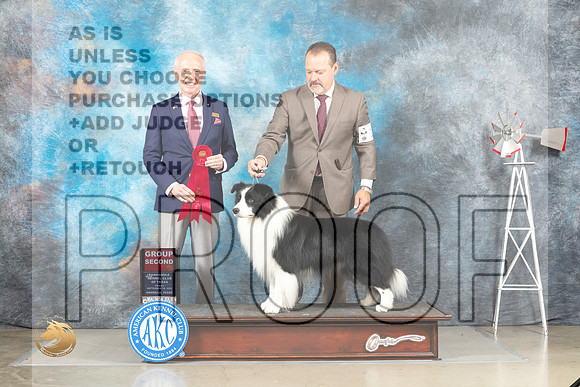 Border Collie #11 Thur G2 Judge Sharon Derrick_MJ_3873e-2_Amarillo_2022_HR3