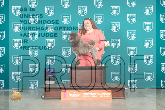 Poodle Miniature #255 Sat2 G1 Judge Larry Hansen_MJ_3497_ColumbiaMo2023_HR3