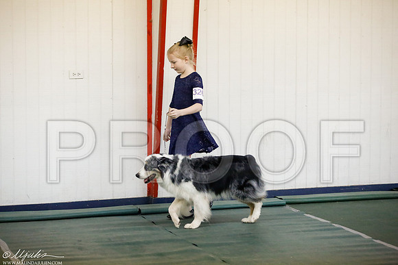 _JJ_3273-DentonMar2015-HR3