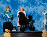 Poodles Standard #19 Sun WD Maj Brown Elizabeth Judge Ms Betty Nelson Pollock