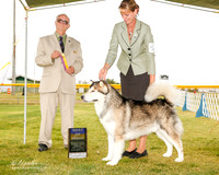 Alaskan Malamute #5 Sun BOB Rubenstein Arlene and Howard Judge Thomson Stanfield Jr