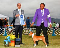 Basenji #9 Sun G1 Behles a Whalen Allen Judge Gerardo Bernard